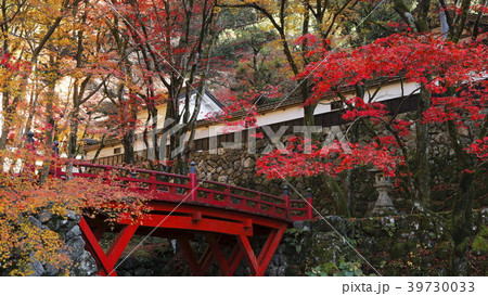 11月 紅葉の横蔵寺 美濃の正倉院 の写真素材