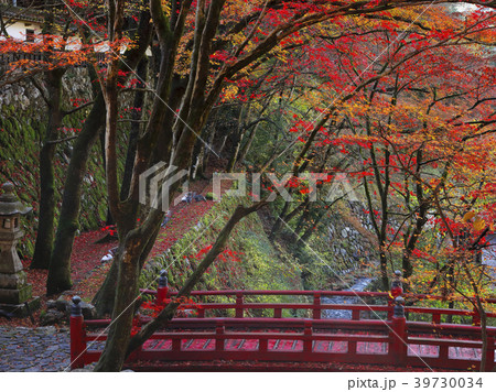 11月 紅葉の横蔵寺 美濃の正倉院 の写真素材