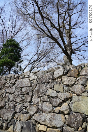 国宝松本城・深志城（烏城）石垣 39730176