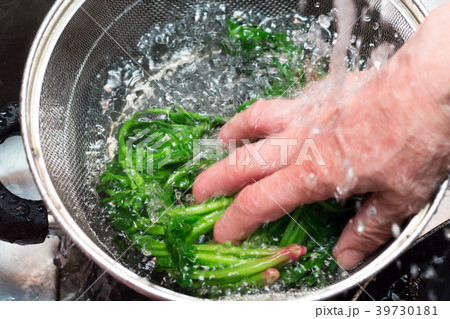 ほうれんそう 39730181