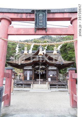 白髭神社　滋賀県 39730647