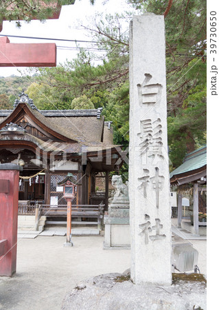 白髭神社 滋賀県 白髭神社 滋賀県 39730650