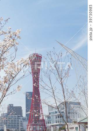 神戸メリケンパークのポートタワーと桜と海洋博物館 39730985