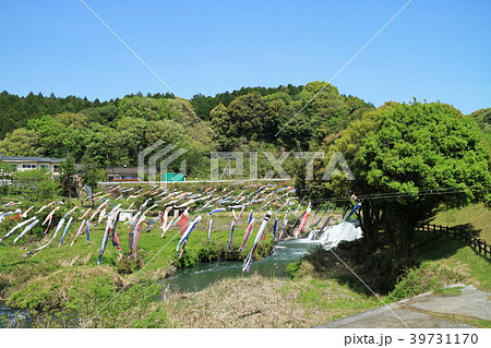 湯之尾滝こいのぼり 39731170