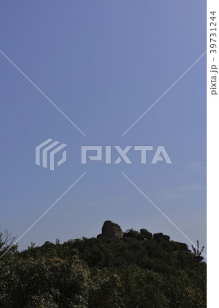 王子が岳~にこにこ岩~ 王子が岳~にこにこ岩~ 39731244