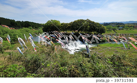 湯之尾滝こいのぼり 湯之尾滝こいのぼり 39731593