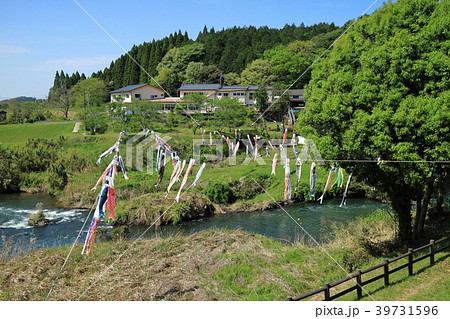 湯之尾滝こいのぼり 39731596