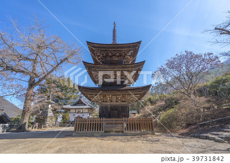 前山9236 39731842