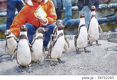 ペンギンの海まで遠足　おたる水族館　水彩画 39732265