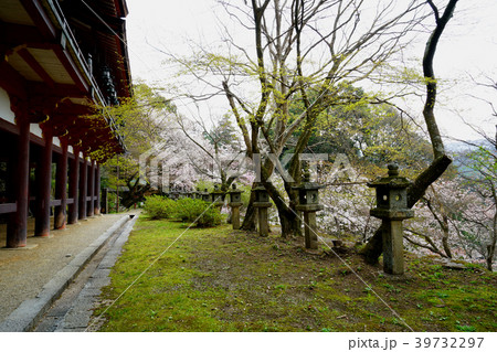談山神社 桜 奈良県 談山神社 桜 奈良県 39732297