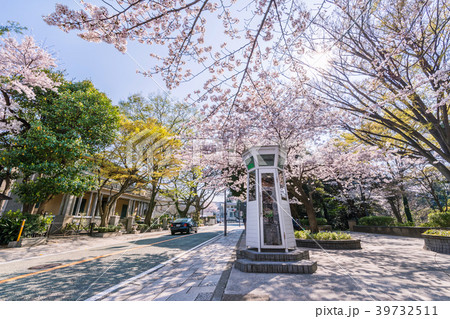 桜咲く元町公園の自働電話 桜咲く元町公園の自働電話 39732511