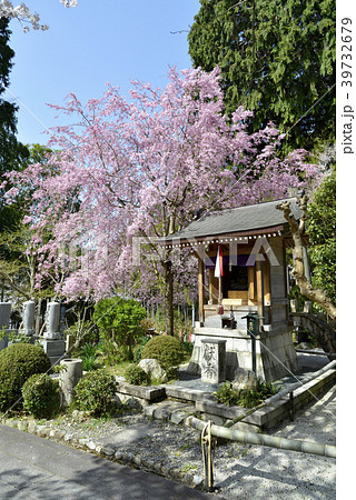 永興寺 永興寺 39732679