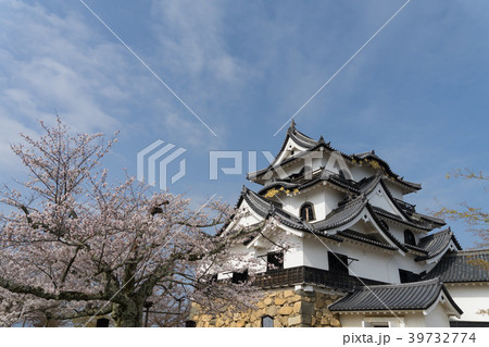 彦根城01948 彦根城01948 39732774