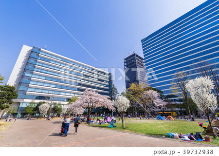 桜咲く中野四季の森公園 39732938