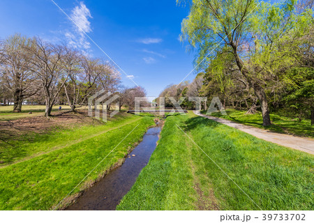 東京武蔵野 野川公園の風景 39733702