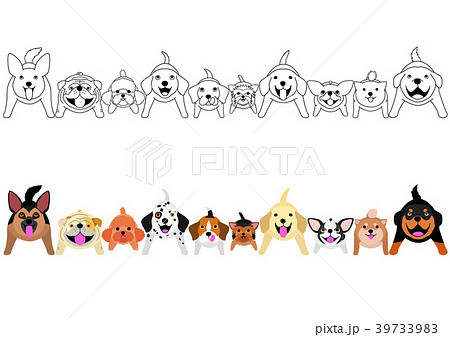 立って見上げる小型犬たちのサークル 39733983