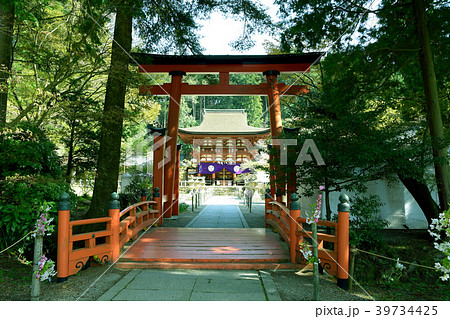 新緑の丹生都比売神社 新緑の丹生都比売神社 39734425
