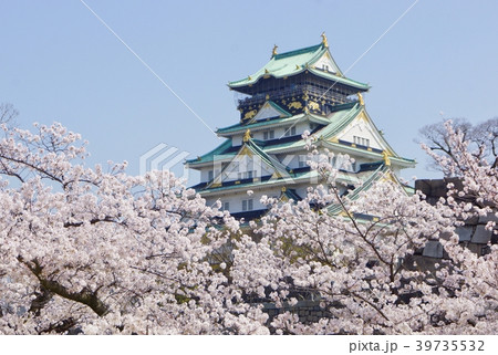 満開の桜と大阪城天守閣　大阪城公園　大阪府大阪市 39735532