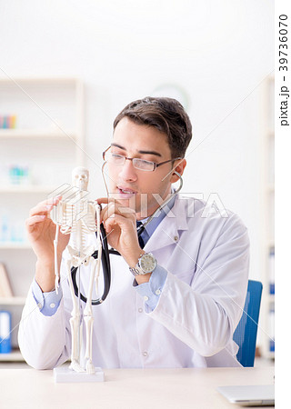 Doctor explaining human body on skeleton 39736070