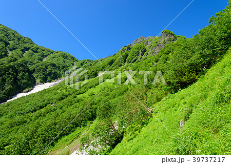 南アルプス 大樺沢から望む北岳 南アルプス 大樺沢から望む北岳 39737217
