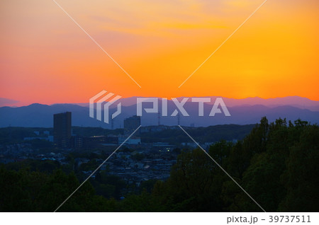 多摩市桜ヶ丘公園遊びの広場付近から望む夕日 多摩市桜ヶ丘公園遊びの広場付近から望む夕日 39737511
