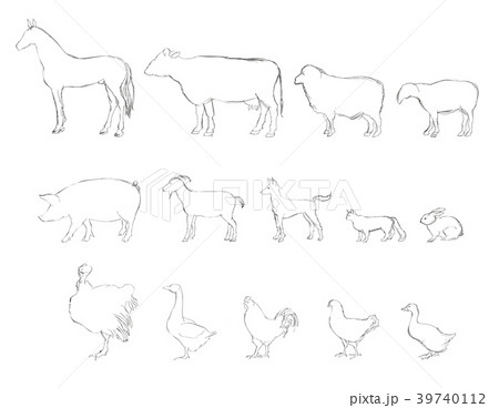 Farm animals silhouette icon set. Livestock. Farm animals silhouette icon set. Livestock. 39740112
