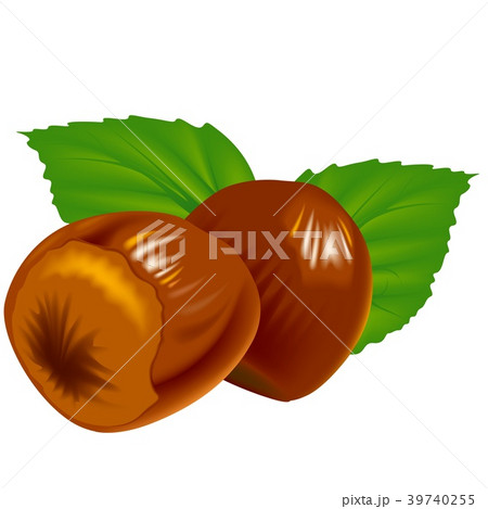 Hazelnuts and Leaves 39740255