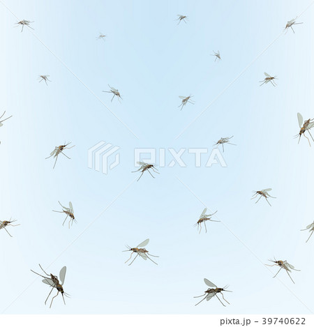 Mosquito, blue sky background. Incest tile pattern Mosquito, blue sky background. Incest tile pattern 39740622