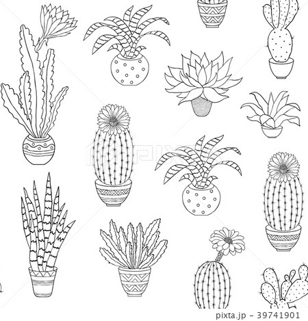 hand drawn houseplant hand drawn houseplant 39741901