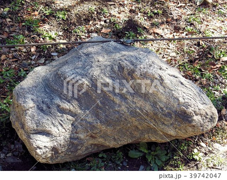 南極昭和基地の片麻岩（ヘンマガン）／日比谷公園 39742047