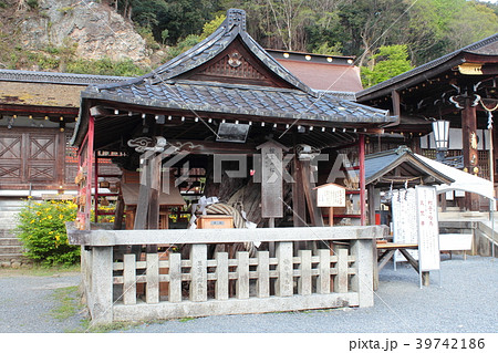 京都　松尾大社　相生の松 39742186