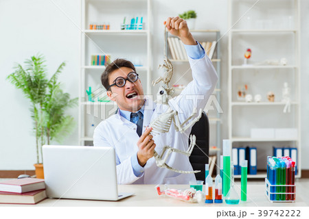 Funny scientist with cat skeleton in lab clinic 39742222