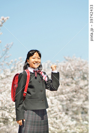 小学6年生の女の子 桜 卒業 の写真素材