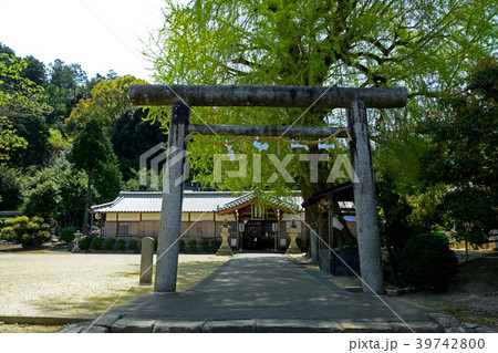 三谷坂 丹生酒殿神社 三谷坂 丹生酒殿神社 39742800