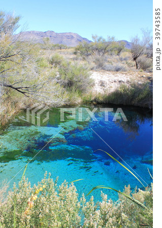 アッシュメドーズ国立野生動物保護区 39743585