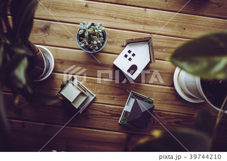 住宅模型と植物 39744210