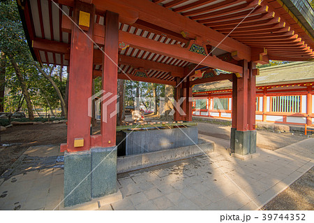 大宮 氷川神社 本殿入口 手水舎 大宮 氷川神社 本殿入口 手水舎 39744352
