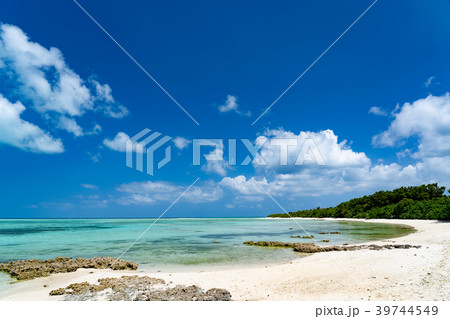 カイジ浜（沖縄） 39744549