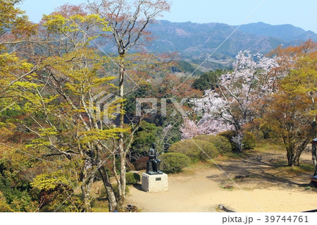 岡城跡の風景 岡城跡の風景 39744761