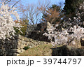 桜満開の苗木城大矢倉跡 桜満開の苗木城大矢倉跡 39744797