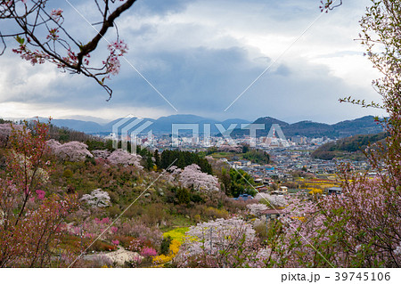 桃源郷花見山公園から望む福島市の写真素材