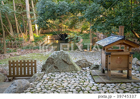 大宮　氷川神社　蛇の池 39745337