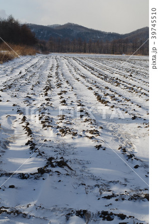 冬の畑 39745510