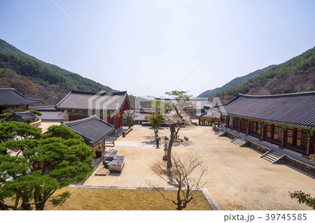 風景 智異山 求礼郡 39745585