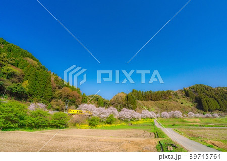 いすみ鉄道 いすみ鉄道 39745764
