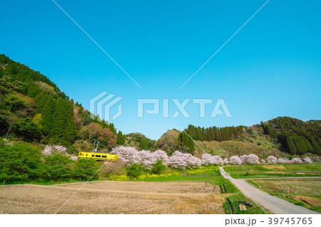 いすみ鉄道 いすみ鉄道 39745765