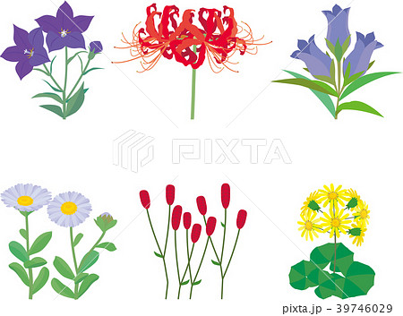野の花のイラスト素材 [39746029] - PIXTA
