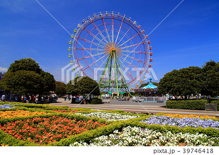 快晴のひたち海浜公園 39746418