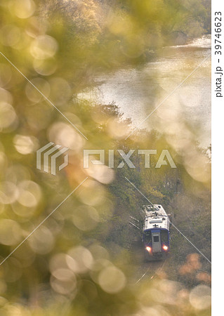 葉っぱイルミネーションの向こう側を走る列車 39746623