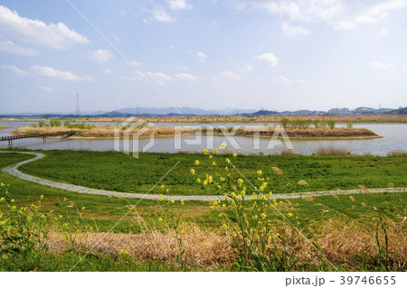 全羅南道 屋外 室外 39746655